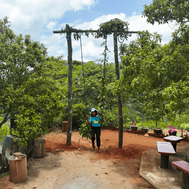 Bathle Eco Resort thumbnail 3