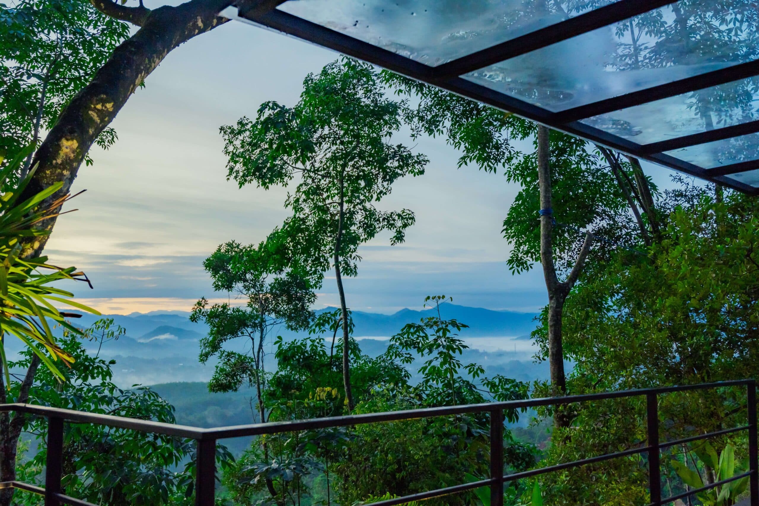 Heliconia Ledge image 6