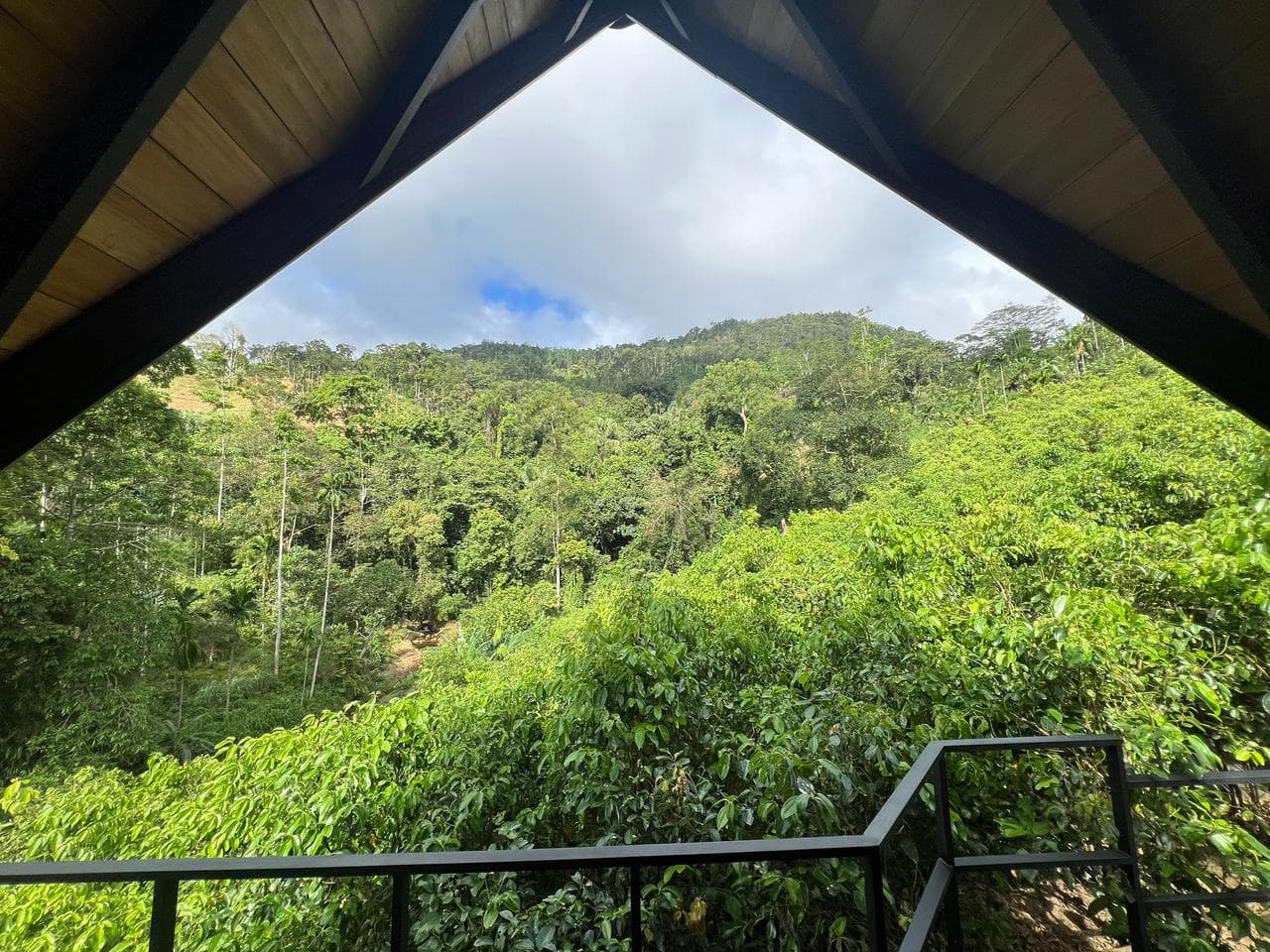 Cannelle Hill Cabanas image 6